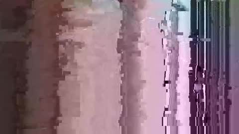 maththebear96 online show from April 2026 03:01:02 AM