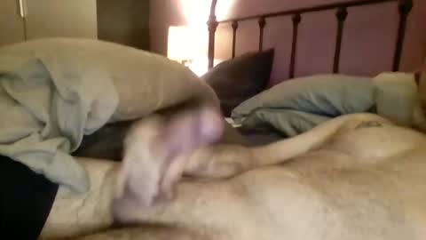 Snapshot of matrixdog69 chatting on November 2025 04:06:02 PM matrixdog69 online show from November 2025 04:06:02 PM