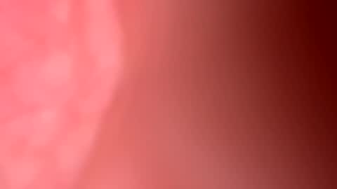 Freekster online show from March 2026 06:30:02 PM