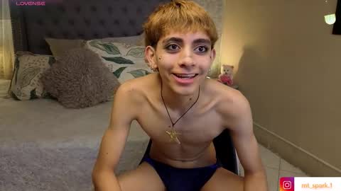 Snapshot of matty_spark chatting on November 2025 02:06:01 PM matty_spark online show from November 2025 02:06:01 PM