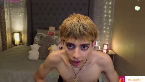 Snapshot of matty_spark chatting on November 2025 01:56:02 PM matty_spark online show from November 2025 01:56:02 PM