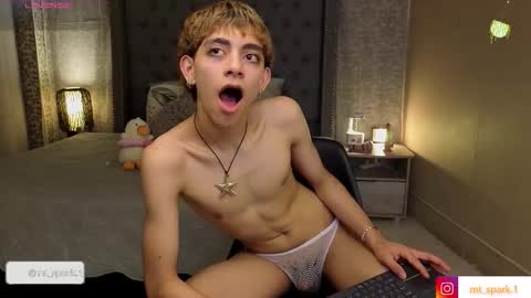 Snapshot of matty_spark chatting on November 2025 01:57:02 PM matty_spark online show from November 2025 01:57:02 PM