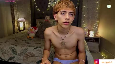 Snapshot of matty_spark chatting on December 2025 02:32:02 PM matty_spark online show from December 2025 02:32:02 PM