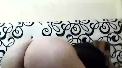 mature_sweet3827 online show from December 2024 05:53:02 AM