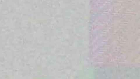 Max Taylor online show from April 2026 03:51:02 AM