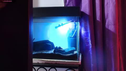 Max online show from March 2026 02:04:01 AM