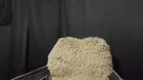 Snapshot of maximus_oreally chatting on January 2025 11:16:01 AM Max online show from January 2025 11:16:01 AM