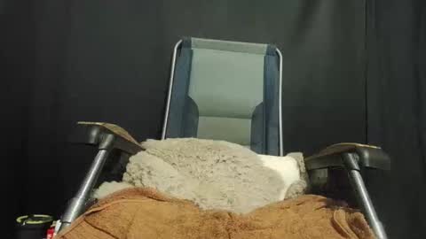 Snapshot of maximus_oreally chatting on January 2025 10:05:01 PM Max online show from January 2025 10:05:01 PM