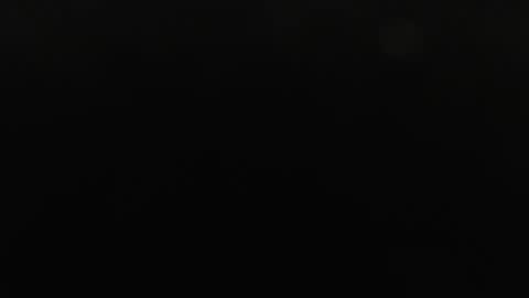 Max online show from January 2026 10:30:01 AM