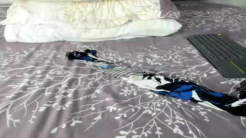 Maybelline69 online show from March 2026 08:26:01 PM