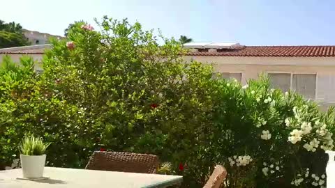 Snapshot of maykol_brown chatting on May 2026 09:27:01 AM MAYKOL BROWN online show from May 2026 09:27:01 AM