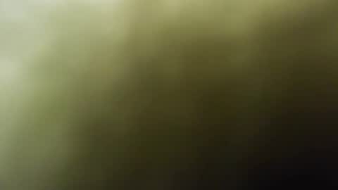 Snapshot of maylee_x chatting on February 2025 12:01:02 PM maylee_x online show from February 2025 12:01:02 PM