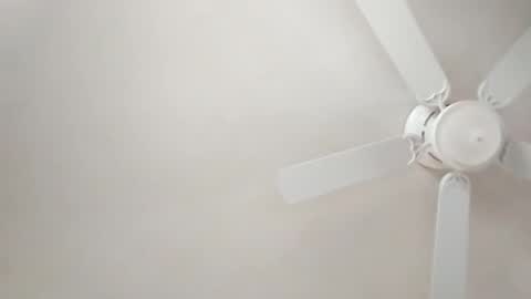 mcwire4 online show from January 2025 05:44:01 PM