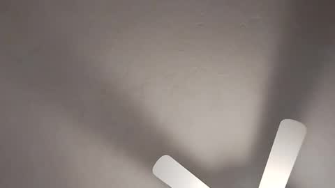 mcwire4 online show from January 2025 08:41:01 PM