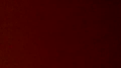 mdguy4200 online show from September 2025 02:24:01 AM