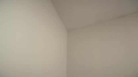 Snapshot of mdsaeiduddin chatting on February 2026 02:48:02 PM Chandu online show from February 2026 02:48:02 PM