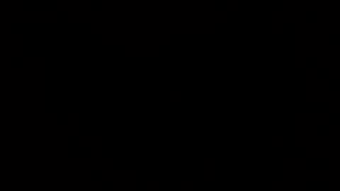 MT online show from February 2025 02:11:02 AM