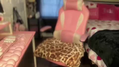 Southern Peach online show from February 2026 07:50:02 PM