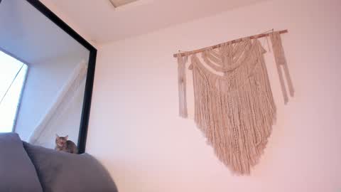 Snapshot of megan__88 chatting on January 2025 10:51:01 PM megan online show from January 2025 10:51:01 PM