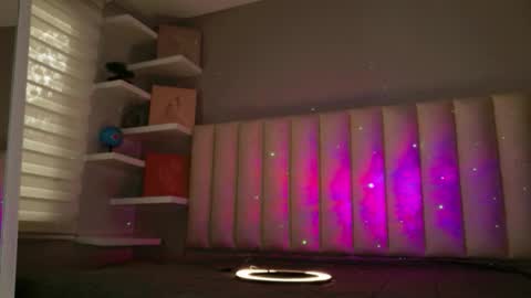     online show from February 2026 12:31:01 PM