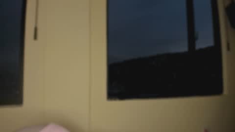 Snapshot of megan_vwv chatting on December 2025 11:23:02 PM megan online show from December 2025 11:23:02 PM