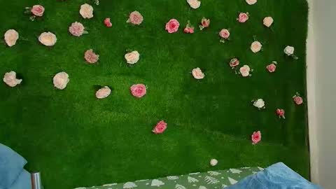 megatitts_ online show from February 2026 06:46:02 AM