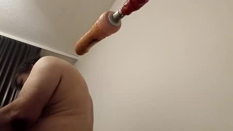 meheriuk68 online show from February 2026 03:10:01 AM