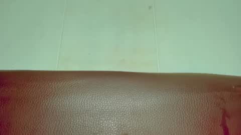 Snapshot of melania_browis chatting on June 2026 04:36:02 AM Melania online show from June 2026 04:36:02 AM