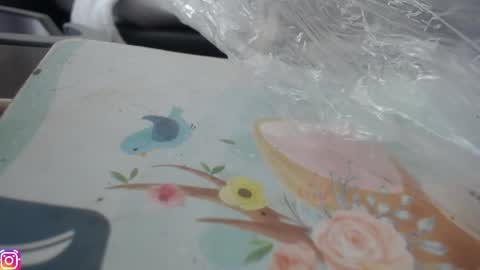 Snapshot of melany_isabella chatting on November 2025 03:19:02 PM melany online show from November 2025 03:19:02 PM