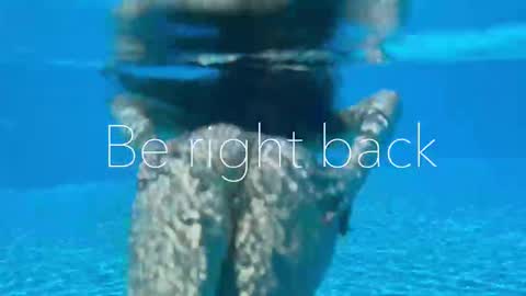 Adel online show from February 2026 04:03:02 PM