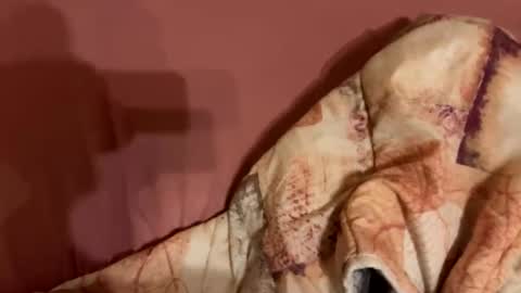 Snapshot of melissa9040 chatting on February 2026 11:20:01 PM melissa9040 online show from February 2026 11:20:01 PM