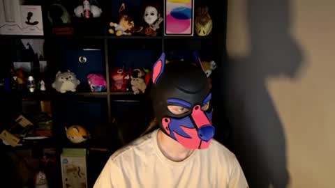 MellPUP online show from June 2026 11:23:01 AM