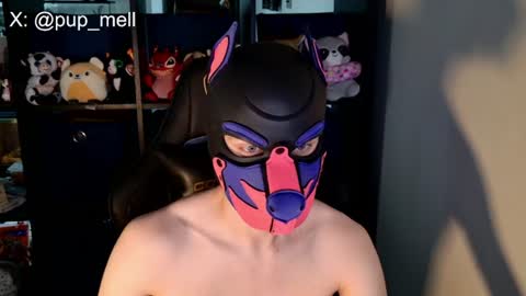 MellPUP online show from August 2026 03:47:02 PM