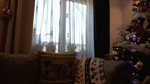 Melly online show from December 2025 07:59:01 AM