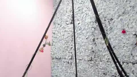 melodyy_28 online show from December 2025 01:52:02 PM