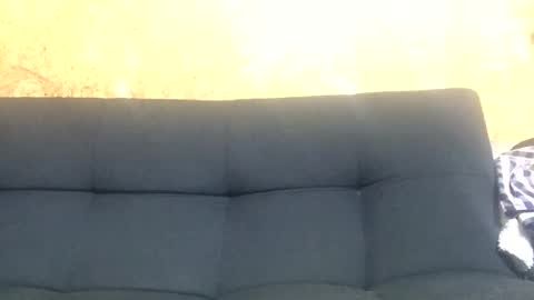 Snapshot of melquibonday chatting on December 2024 12:11:01 AM Melqui online show from December 2024 12:11:01 AM