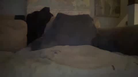 Snapshot of melt13 chatting on January 2025 02:41:01 AM melt13 online show from January 2025 02:41:01 AM