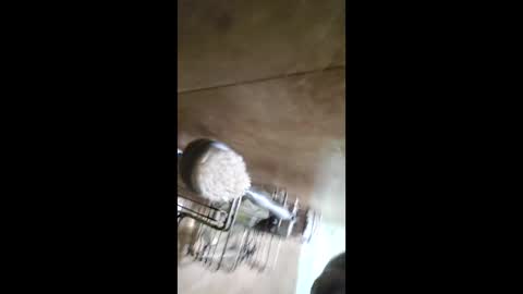 men_seeker online show from February 2026 12:49:01 AM