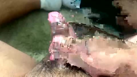 Toro loco online show from March 2026 09:31:01 PM