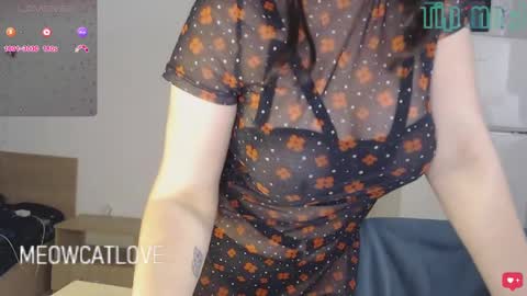 Snapshot of meowcatlove chatting on December 2024 09:00:02 PM meowcatlove online show from December 2024 09:00:02 PM