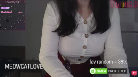 Snapshot of meowcatlove chatting on January 2025 09:01:01 PM meowcatlove online show from January 2025 09:01:01 PM