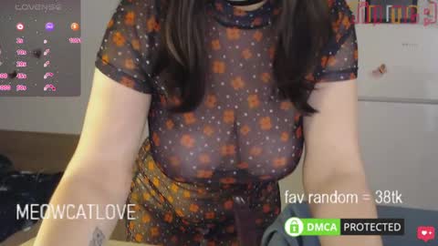 Snapshot of meowcatlove chatting on January 2025 09:18:02 PM meowcatlove online show from January 2025 09:18:02 PM