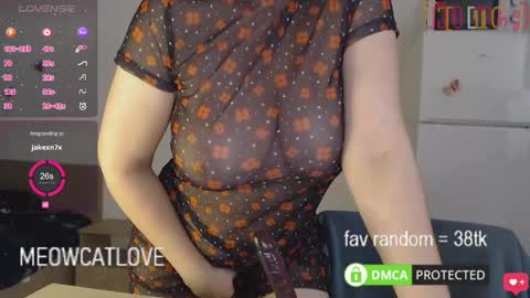 Snapshot of meowcatlove chatting on January 2025 08:00:01 PM meowcatlove online show from January 2025 08:00:01 PM