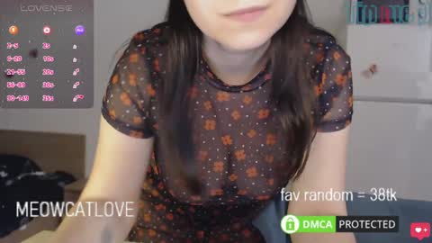 Snapshot of meowcatlove chatting on January 2025 08:02:02 PM meowcatlove online show from January 2025 08:02:02 PM