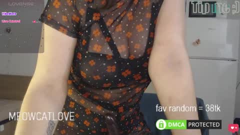 Snapshot of meowcatlove chatting on March 2025 07:43:02 PM meowcatlove online show from March 2025 07:43:02 PM