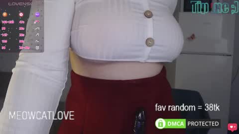 Snapshot of meowcatlove chatting on March 2025 06:37:01 PM meowcatlove online show from March 2025 06:37:01 PM