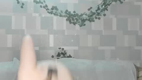 meowcr online show from February 2026 03:00:02 PM