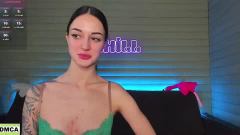  NIKKY  STIVE     Every day from 1000  to 200  EST time. online show from January 2025 04:55:01 AM