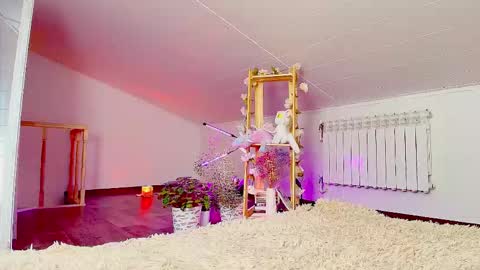 meowroslava online show from November 2025 09:30:01 AM