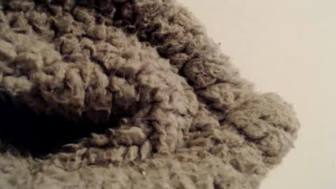 Snapshot of mesmerize88 chatting on February 2025 05:37:01 PM Mauro online show from February 2025 05:37:01 PM